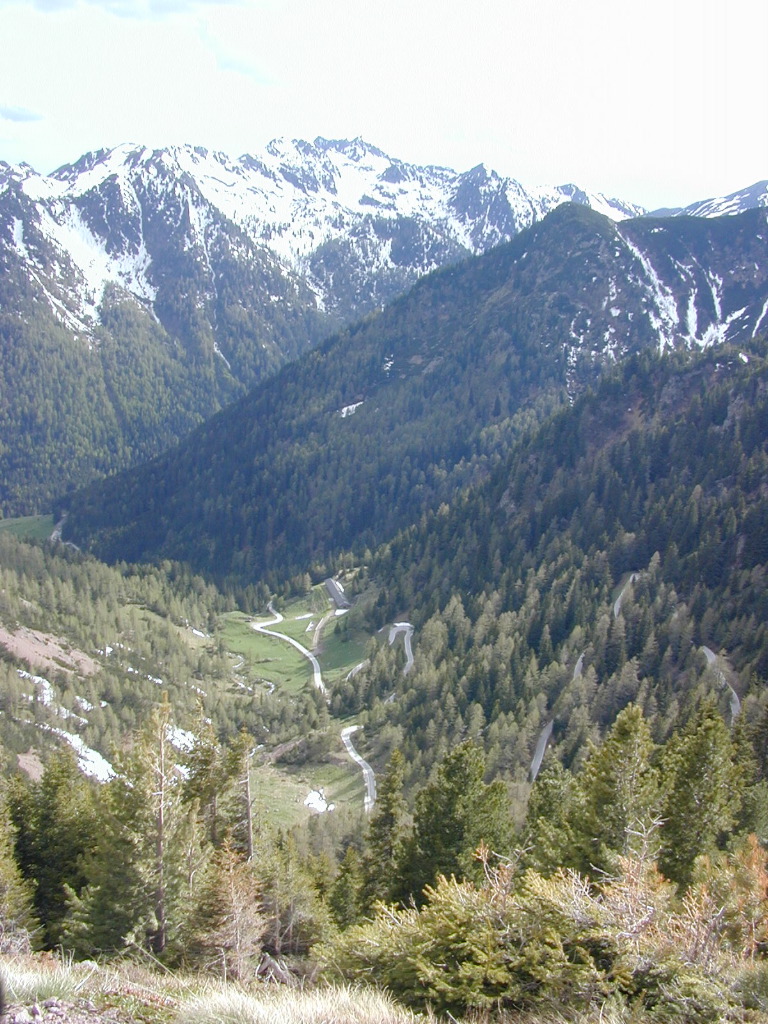 DSCN0454