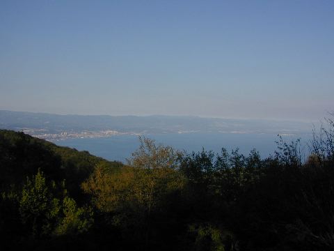 DSCN0277