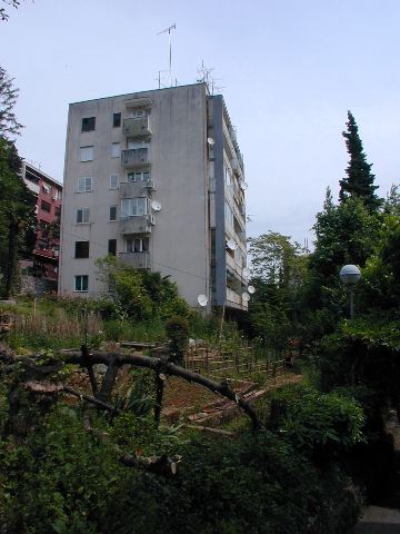 DSCN0287
