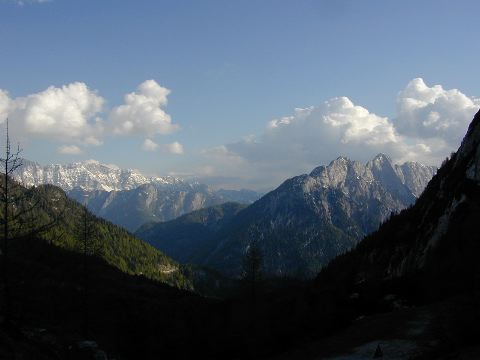 DSCN0354