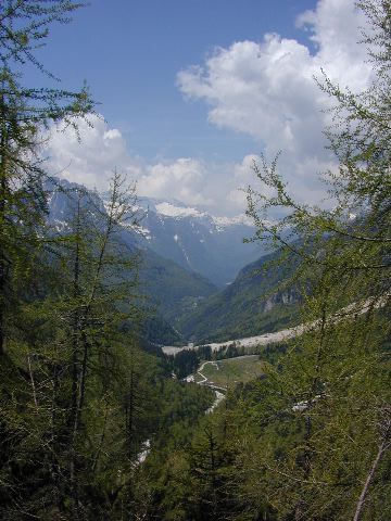 DSCN0368