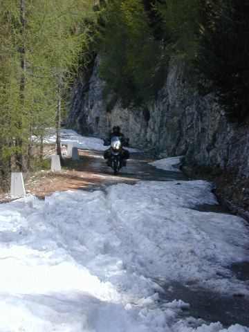 DSCN0369