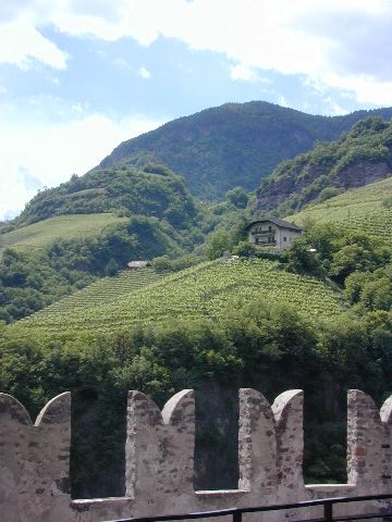 DSCN0447