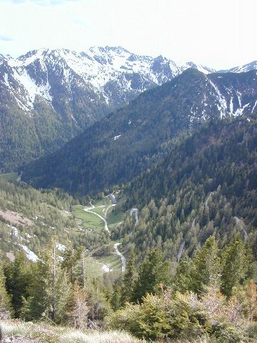 DSCN0454